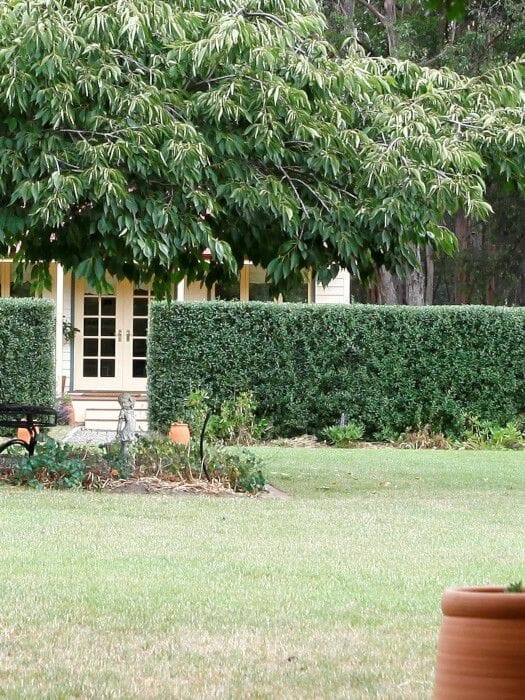 Accommodation Woodend and Macedon Ranges - The Retreat At Amryhouse